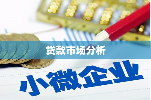 攀枝花贷款市场分析