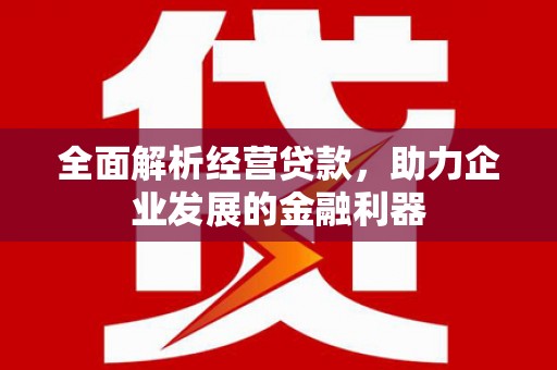 攀枝花全面解析经营贷款，助力企业发展的金融利器
