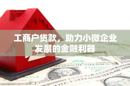 攀枝花工商户贷款，助力小微企业发展的金融利器
