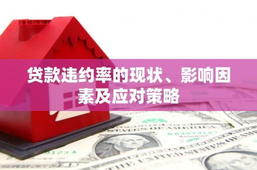 攀枝花贷款违约率的现状、影响因素及应对策略