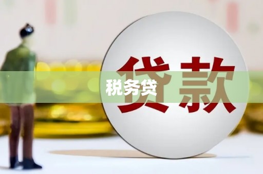 攀枝花税务贷