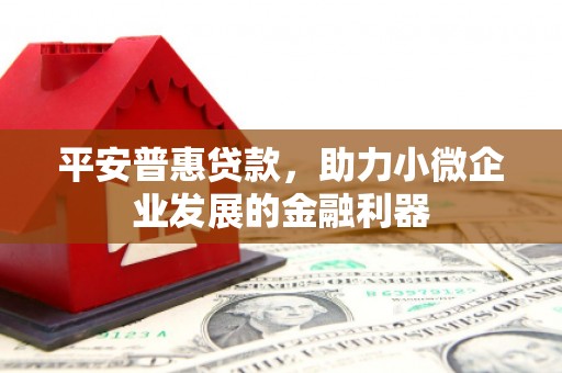 攀枝花平安普惠贷款，助力小微企业发展的金融利器