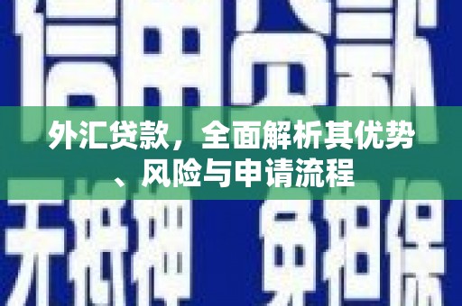 攀枝花外汇贷款，全面解析其优势、风险与申请流程