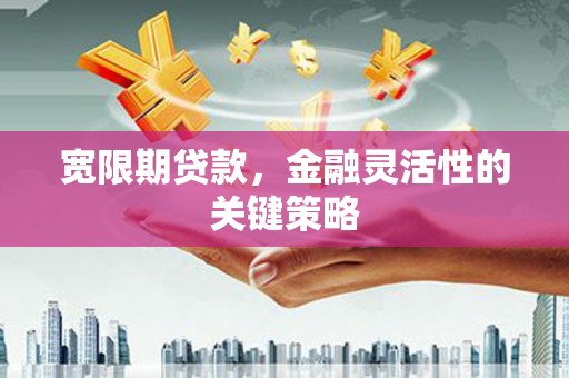 攀枝花宽限期贷款，金融灵活性的关键策略