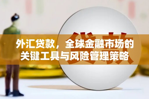 攀枝花外汇贷款，全球金融市场的关键工具与风险管理策略