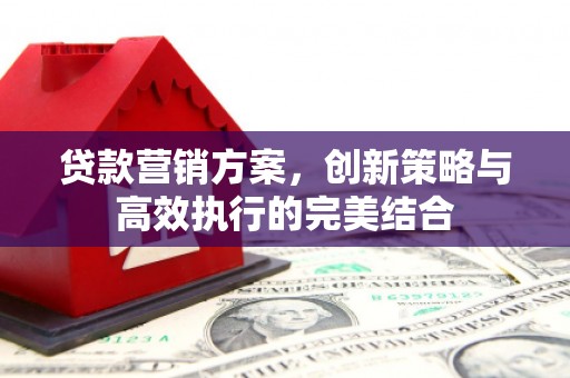 攀枝花贷款营销方案，创新策略与高效执行的完美结合