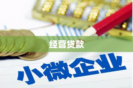 攀枝花经营贷款