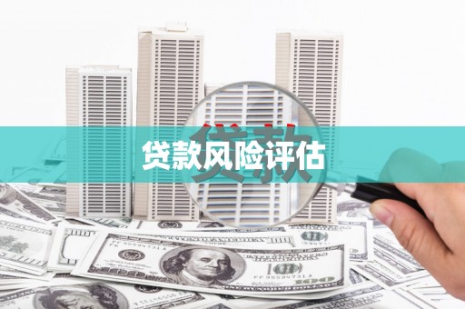 攀枝花贷款风险评估