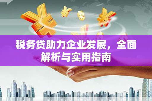 攀枝花税务贷助力企业发展，全面解析与实用指南