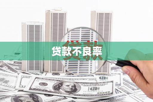 攀枝花贷款不良率