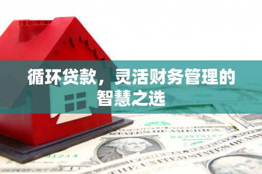 攀枝花循环贷款，灵活财务管理的智慧之选