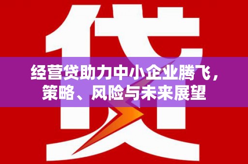 攀枝花经营贷助力中小企业腾飞，策略、风险与未来展望