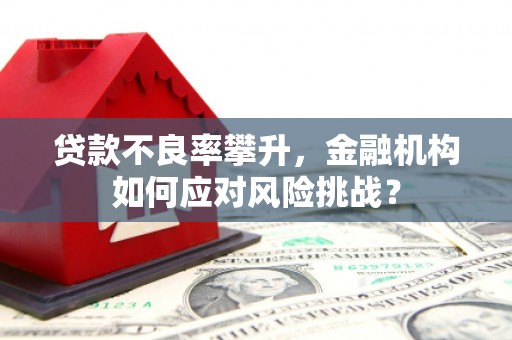 攀枝花贷款不良率攀升，金融机构如何应对风险挑战？