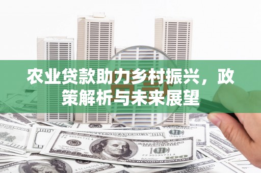 攀枝花农业贷款助力乡村振兴，政策解析与未来展望