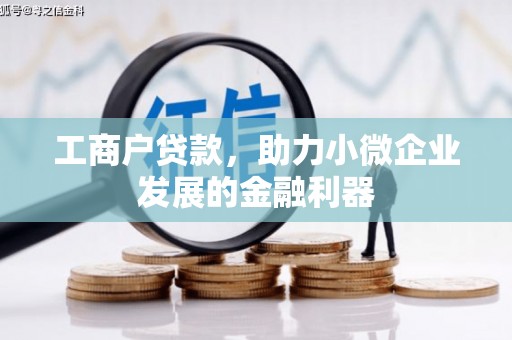 攀枝花工商户贷款，助力小微企业发展的金融利器