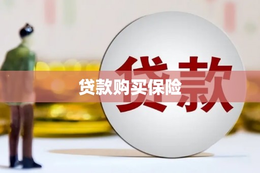 攀枝花贷款购买保险
