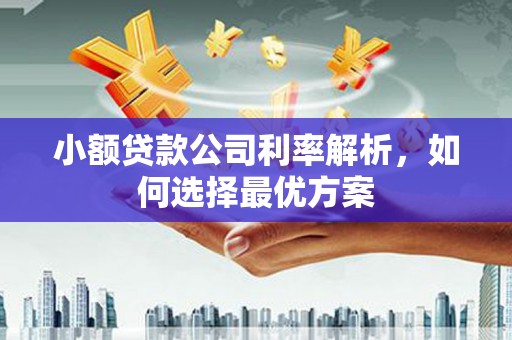 攀枝花小额贷款公司利率解析，如何选择最优方案