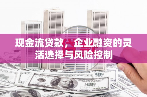 攀枝花现金流贷款，企业融资的灵活选择与风险控制