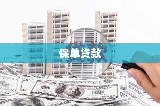攀枝花保单贷款