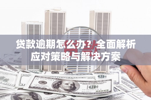 攀枝花贷款逾期怎么办？全面解析应对策略与解决方案