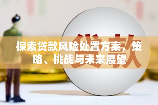 攀枝花探索贷款风险处置方案，策略、挑战与未来展望
