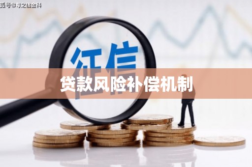 攀枝花贷款风险补偿机制