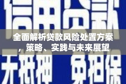 攀枝花全面解析贷款风险处置方案，策略、实践与未来展望
