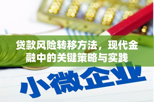 攀枝花贷款风险转移方法，现代金融中的关键策略与实践