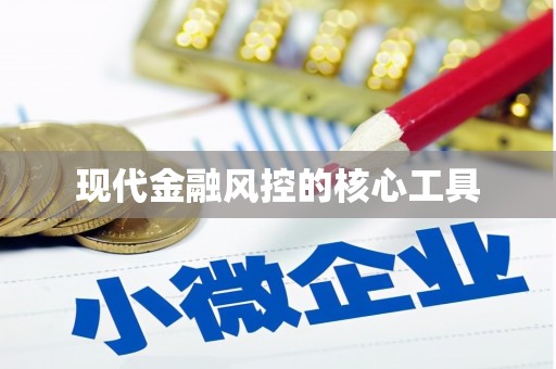 攀枝花现代金融风控的核心工具