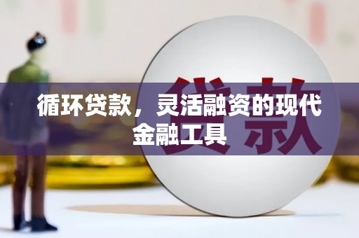 攀枝花循环贷款，灵活融资的现代金融工具