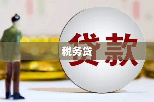 攀枝花税务贷