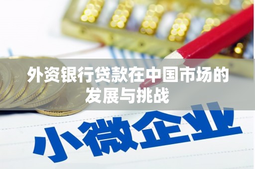 攀枝花外资银行贷款在中国市场的发展与挑战