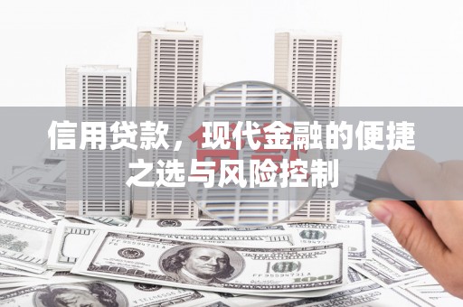 攀枝花信用贷款，现代金融的便捷之选与风险控制