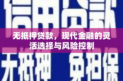 攀枝花无抵押贷款，现代金融的灵活选择与风险控制