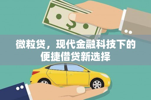 攀枝花微粒贷，现代金融科技下的便捷借贷新选择