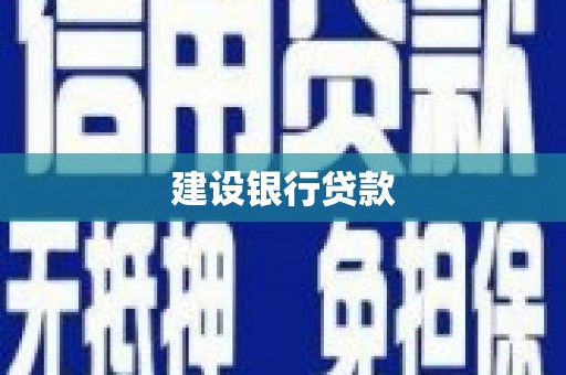 攀枝花建设银行贷款
