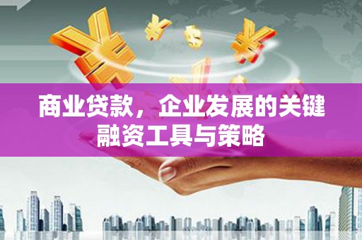攀枝花商业贷款，企业发展的关键融资工具与策略