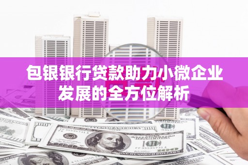 攀枝花包银银行贷款助力小微企业发展的全方位解析