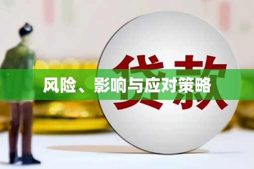 攀枝花风险、影响与应对策略
