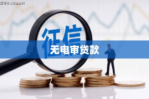 攀枝花无电审贷款