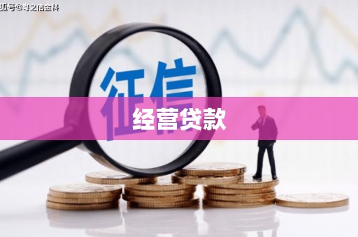 攀枝花经营贷款