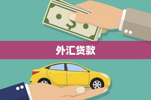攀枝花外汇贷款