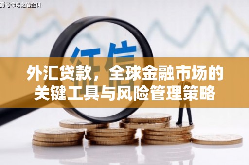 攀枝花外汇贷款，全球金融市场的关键工具与风险管理策略