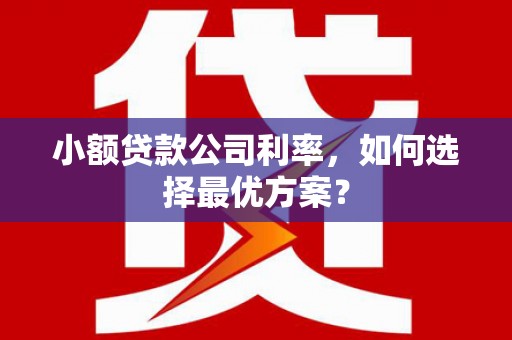 攀枝花小额贷款公司利率，如何选择最优方案？