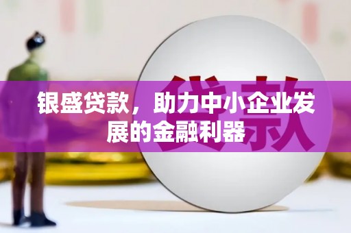 攀枝花银盛贷款，助力中小企业发展的金融利器