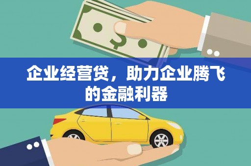 攀枝花企业经营贷，助力企业腾飞的金融利器