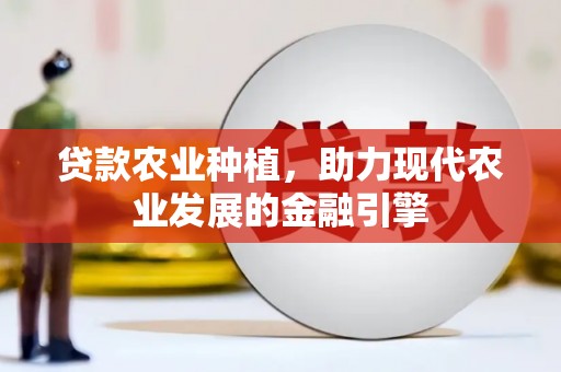 攀枝花贷款农业种植，助力现代农业发展的金融引擎