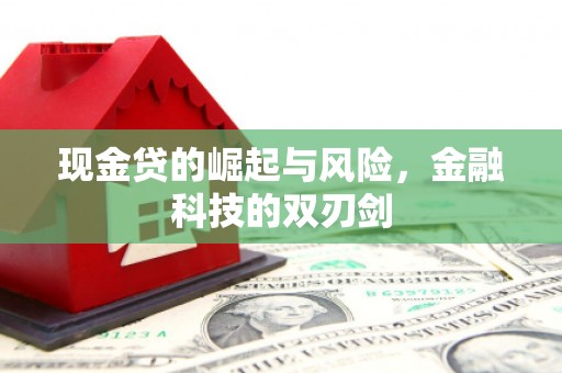 攀枝花现金贷的崛起与风险，金融科技的双刃剑