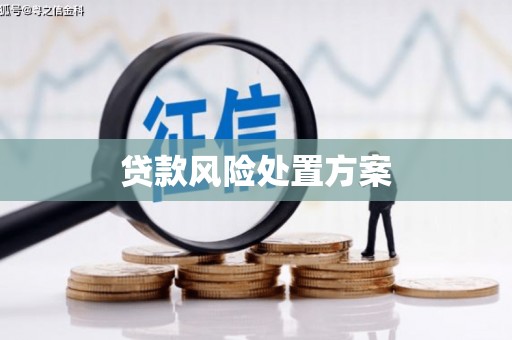 攀枝花贷款风险处置方案