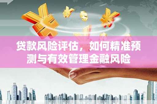 攀枝花贷款风险评估，如何精准预测与有效管理金融风险
